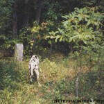 Simms Cemetery Athens Ohio