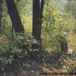 Simms Cemetery Athens Ohio