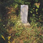 Simms Cemetery Athens Ohio