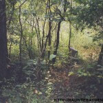 Simms Cemetery Athens Ohio