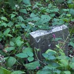 The Ridges Cemetery Athens Ohio Lunatic Asylum