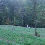 The Ridges Cemetery Athens Ohio Lunatic Asylum